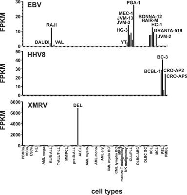 Identification of Differentially Expressed Human Endogenous Retrovirus Families in Human Leukemia and Lymphoma Cell Lines and Stem Cells